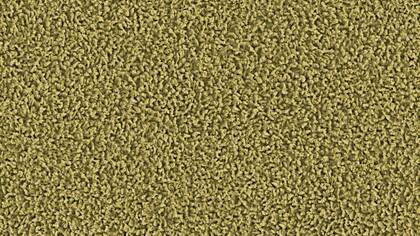 1409 Wasabi