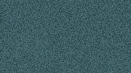 2410 Petrol