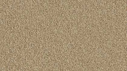 1101 Sand