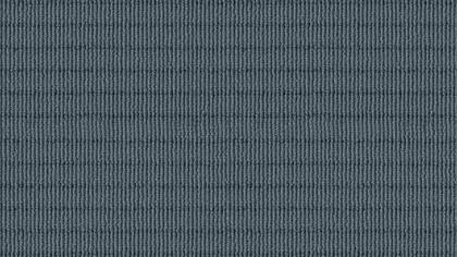 0938 Delphin