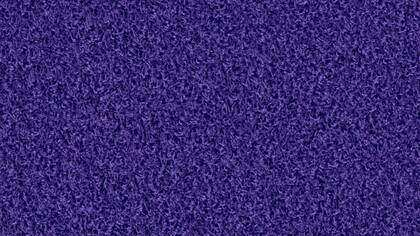 1490 Purple Velvet