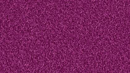 1492 Purpur