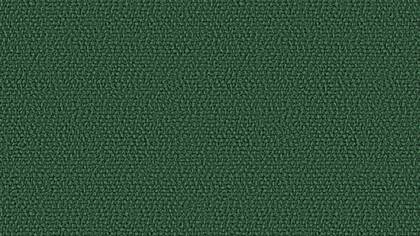 0801 Evergreen
