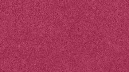 1224 Sorbet