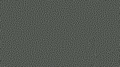 1213 Silver