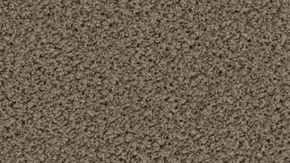 2155 Taupe
